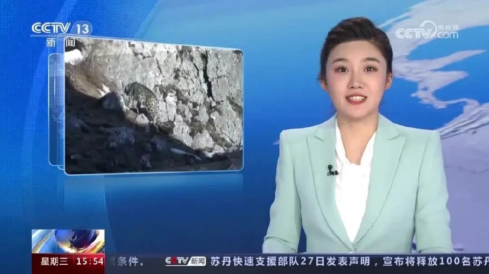 [新闻直播间]甘肃 红外相机记录到雪豹活动影像
